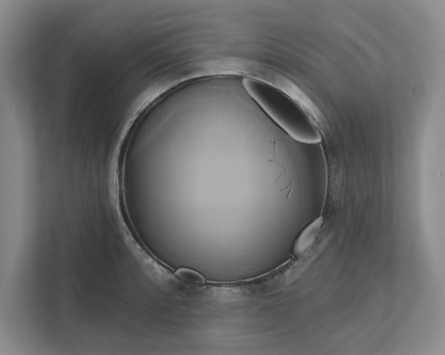 X0000111821088200908061130