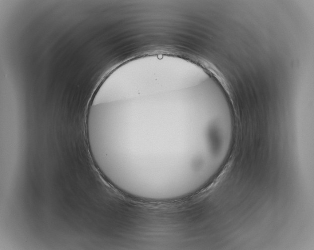 X0000111821089200908061130