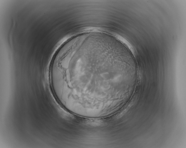 X0000111821090200908061130