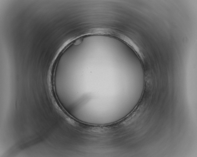 X0000111821091200908061130