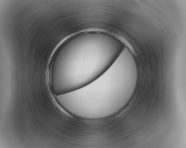 X0000111821092200908061130