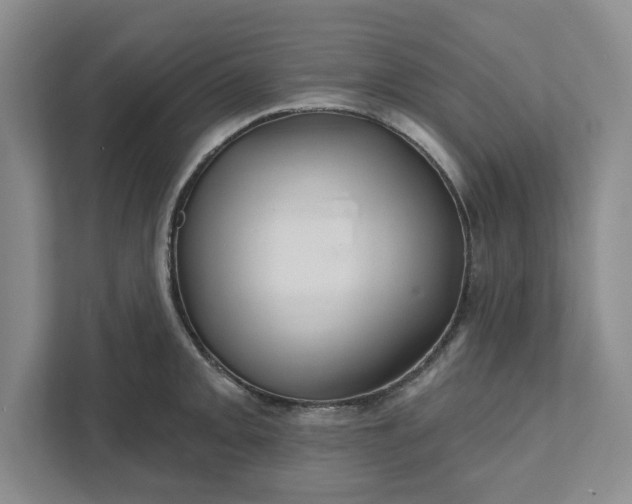 X0000111821093200908061130