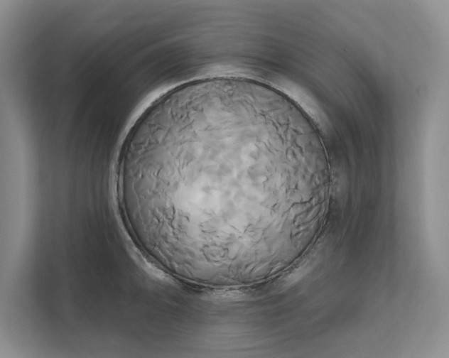 X0000111821094200908061130