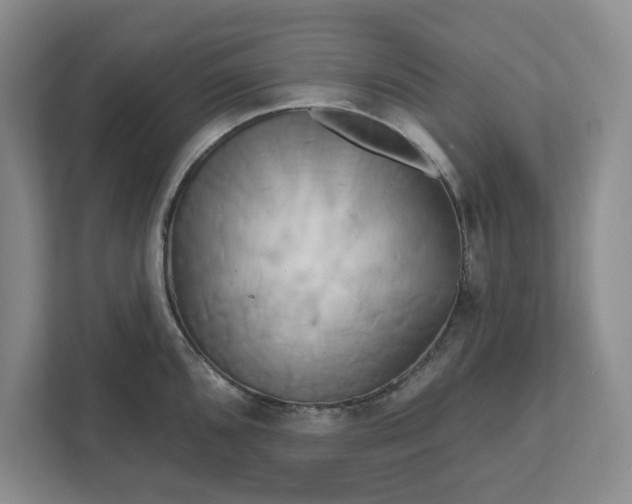 X0000111821096200908061130