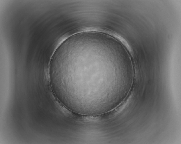 X0000111821097200908061130