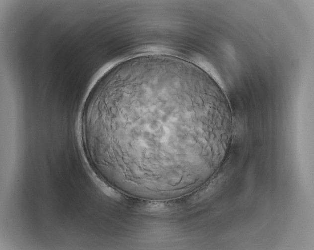 X0000111821098200908061130