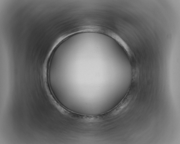 X0000111821099200908061130