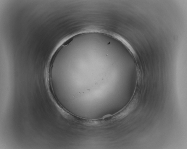 X0000111821101200908061130