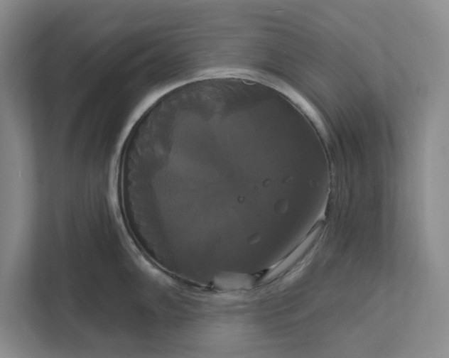 X0000111821102200908061130