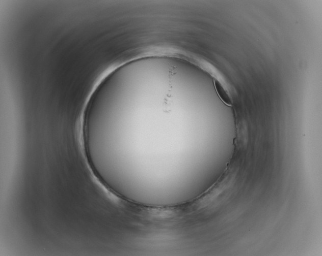 X0000111821103200908061130