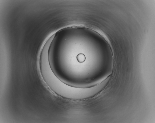 X0000111821104200908061130