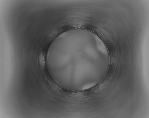 X0000111821106200908061129