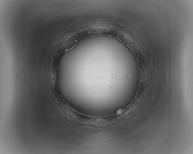 X0000111821109200908061130