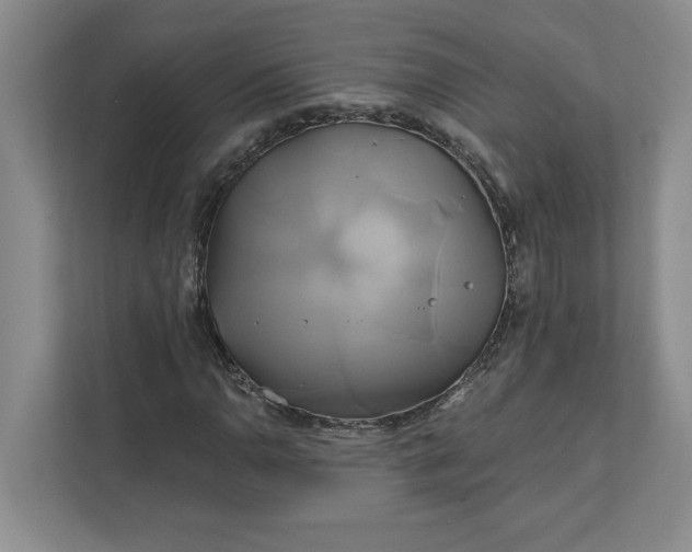 X0000111821110200908061130