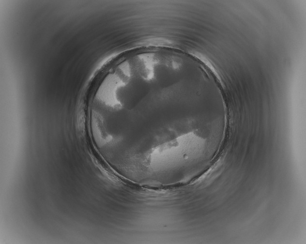 X0000111821115200908061130