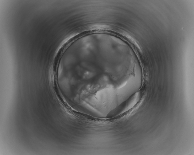 X0000111821117200908061130