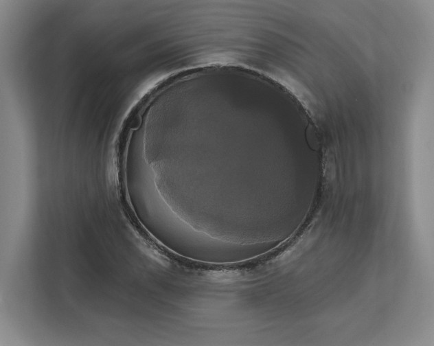 X0000111821118200908061130