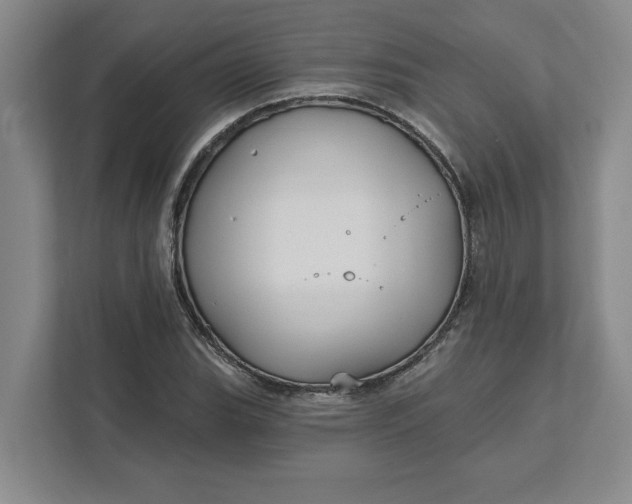 X0000111821119200908061130