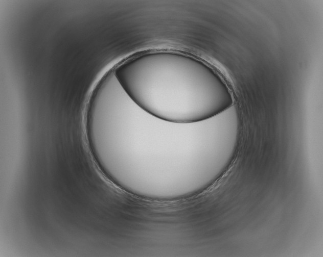 X0000111821120200908061130