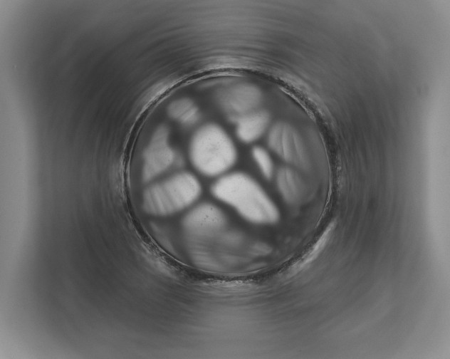 X0000111821121200908061130