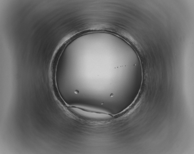 X0000111821122200908061130
