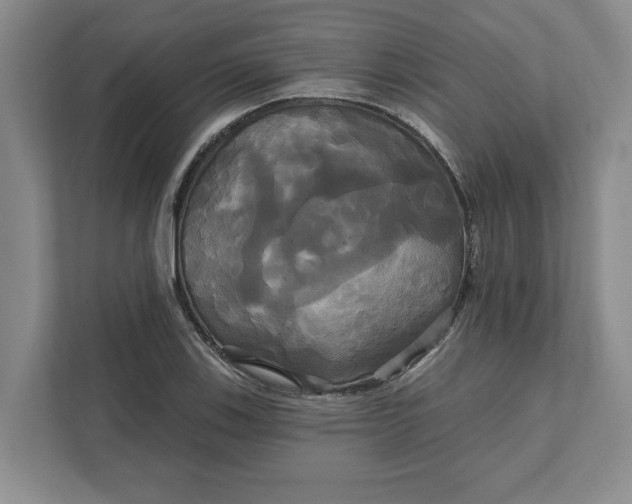 X0000111821123200908061130