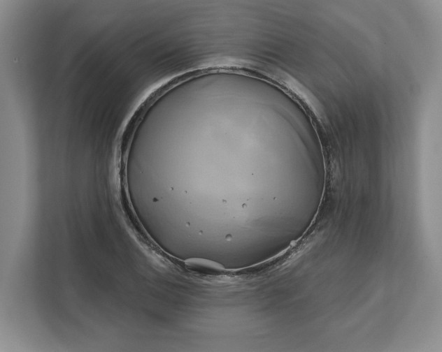 X0000111821124200908061130