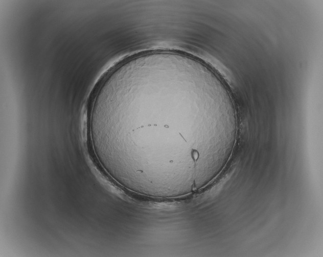 X0000111821126200908061130