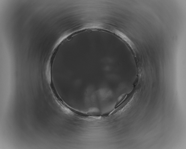 X0000111821127200908061130