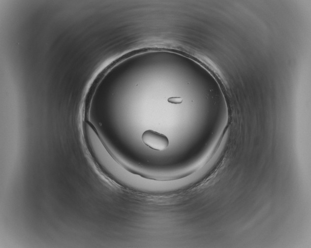 X0000111821128200908061130