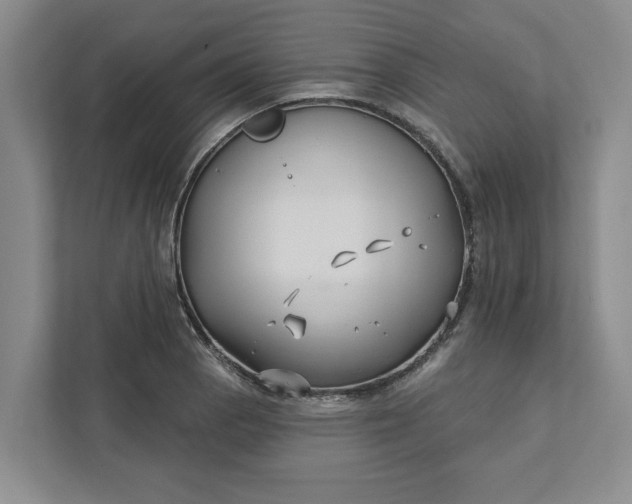 X0000111821129200908061130