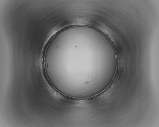 X0000111821130200908061130