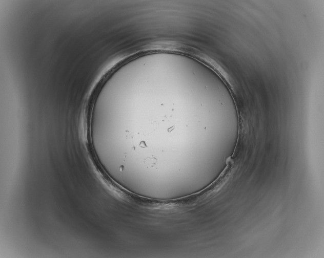 X0000111821131200908061130