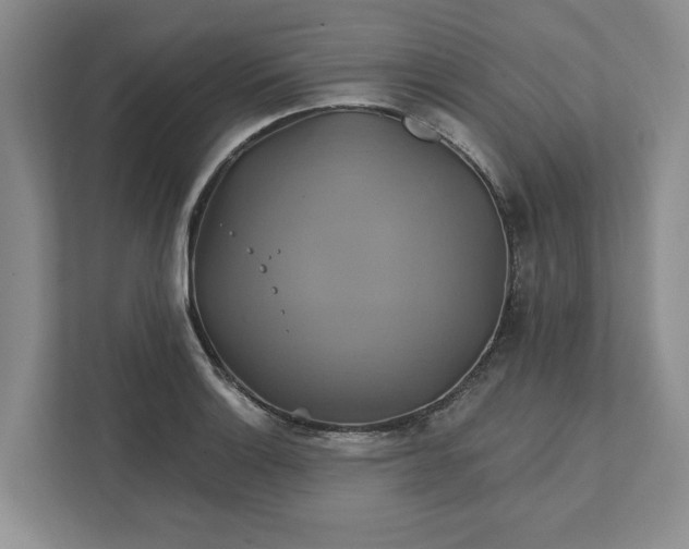 X0000111821132200908061130