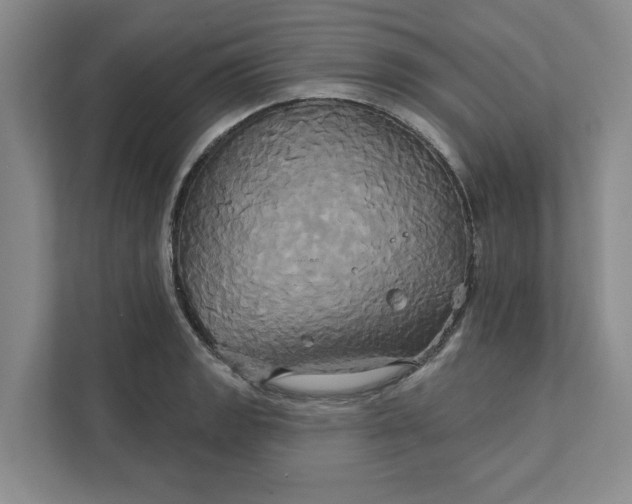 X0000111821133200908061130