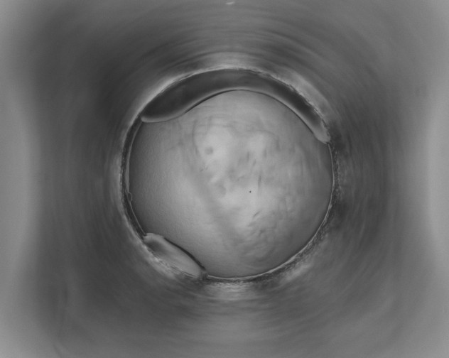 X0000111821134200908061130
