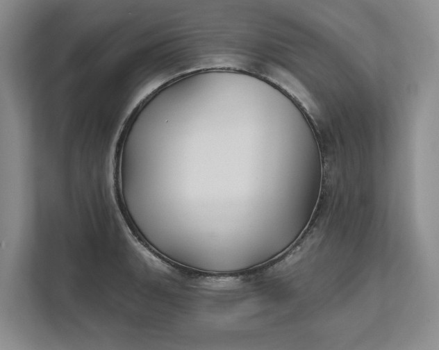 X0000111821135200908061130