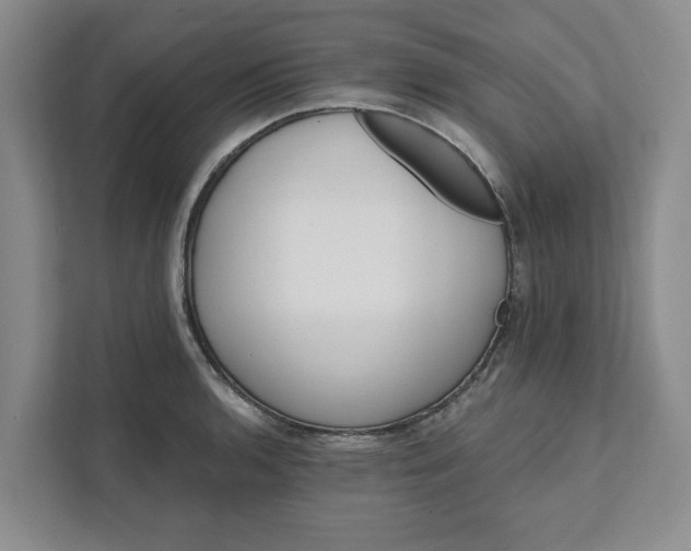 X0000111821136200908061130