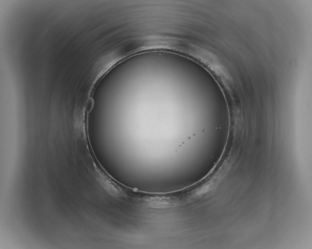 X0000111821137200908061130