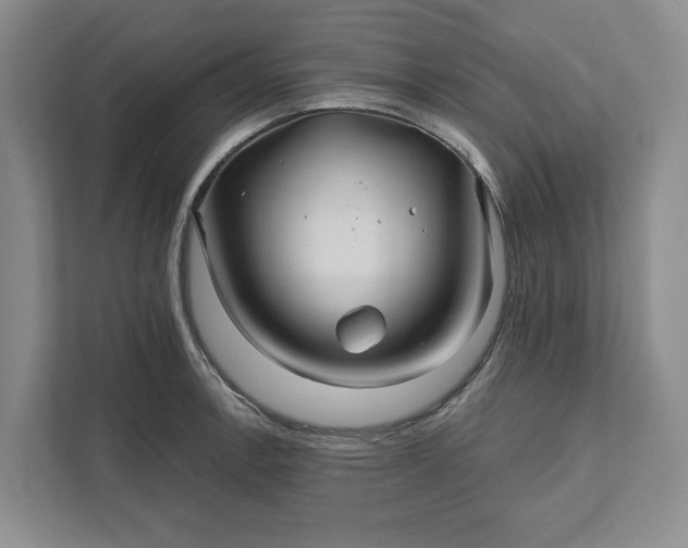 X0000111821138200908061130