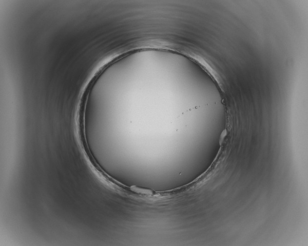 X0000111821139200908061130