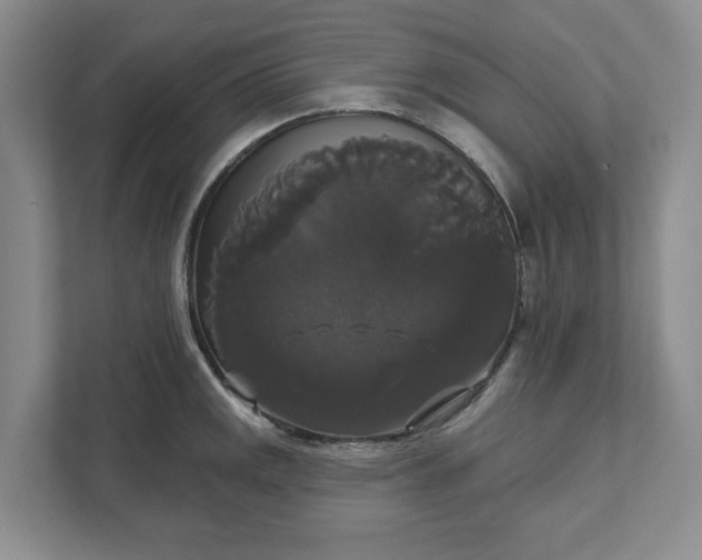 X0000111821141200908061130