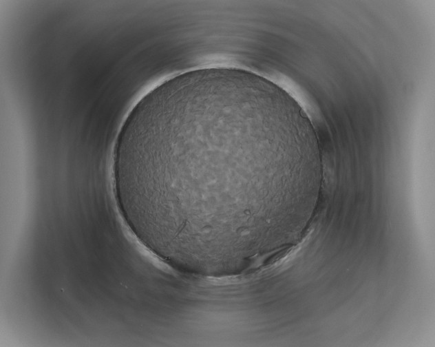 X0000111821142200908061130