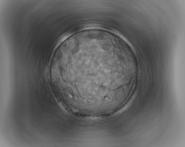 X0000111821145200908061130