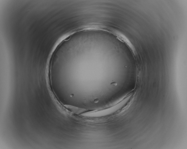 X0000111821146200908061130