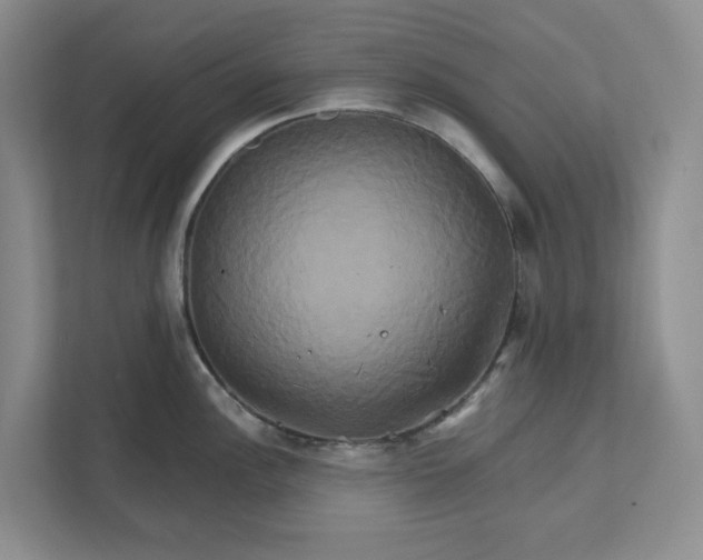 X0000111821148200908061130