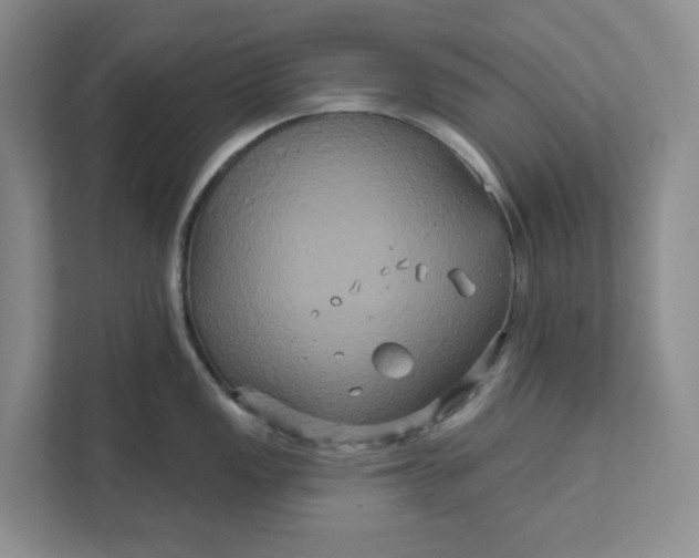 X0000111821149200908061130