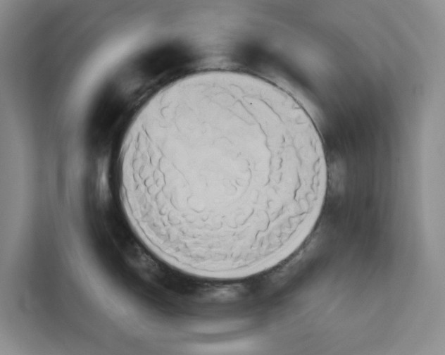 X0000111821150200908061130