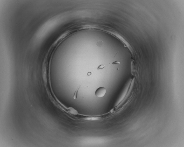 X0000111821151200908061130