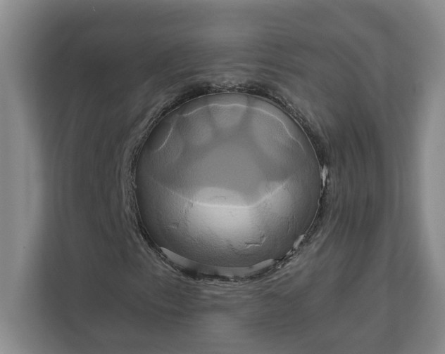 X0000111821153200908061129